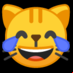 :cara de gato con lágrimas de alegría: