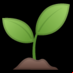 :brote de una planta: