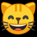 :cara de gato que sonríe con ojos sonrientes: