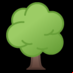 :árbol caducifolio:
