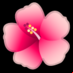 :flor del hibisco: