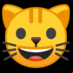 :cara de gato: