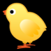 :pollito: